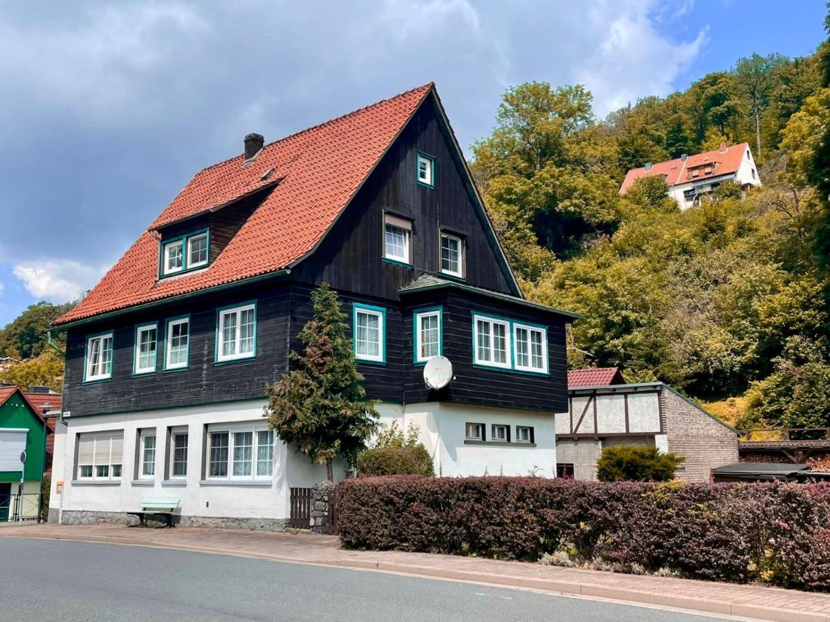 Cozy Apartment Altenbrak Kültér fotó